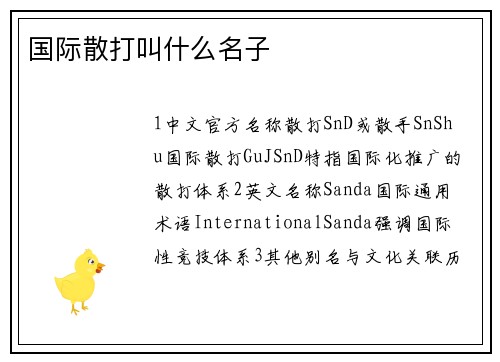 国际散打叫什么名子