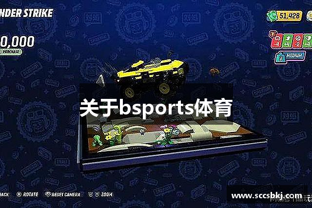 关于bsports体育